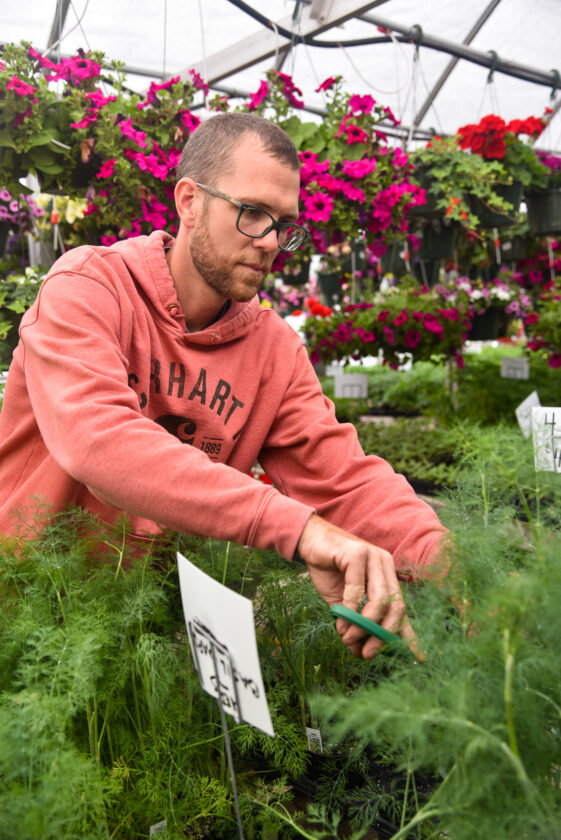 Fairfield Greenhouse a ‘dream’ come true for new owners News, Sports